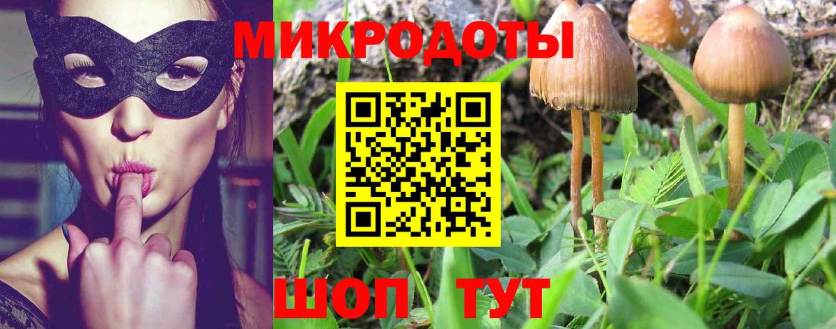 Галлюциногенные грибы мицелий  Вход с VPN  Минеральные Воды 